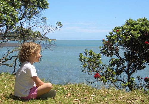 A young girl at a beach in Raglan staring at pohutukawa flowers.