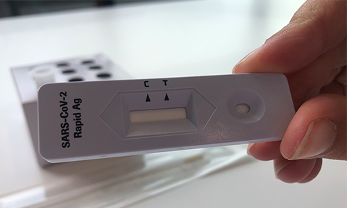 Foodstuffs to retail rapid antigen tests