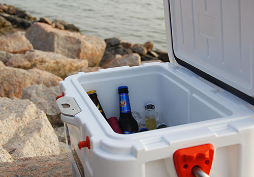 A selection of beverages in a chilly bin.